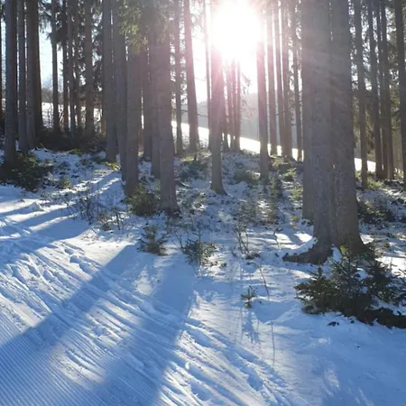 Vakantiehuis Bockleit'n Haus *