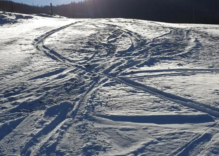Hébergement de vacances Bockleit'n Haus *